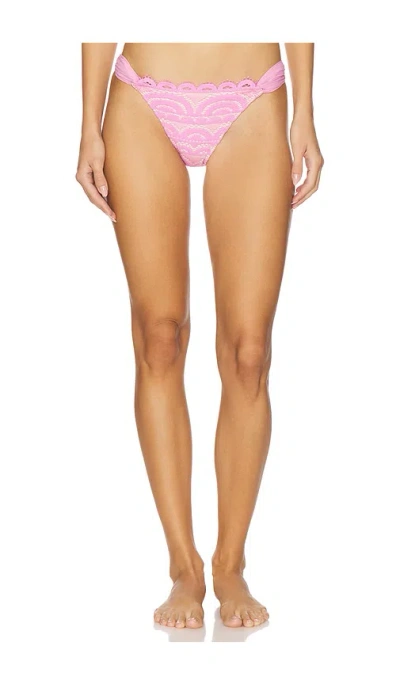 Pq Lace Fanned Bikini Bottom In Pink