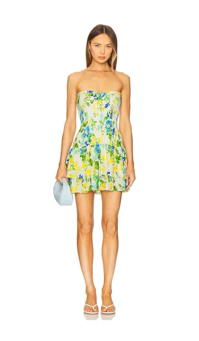 Pq Marie Ruffle Dress In Green,blue