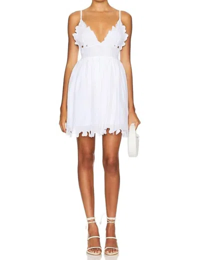 Pq Swim Beatrice Dress In Water Lily In White