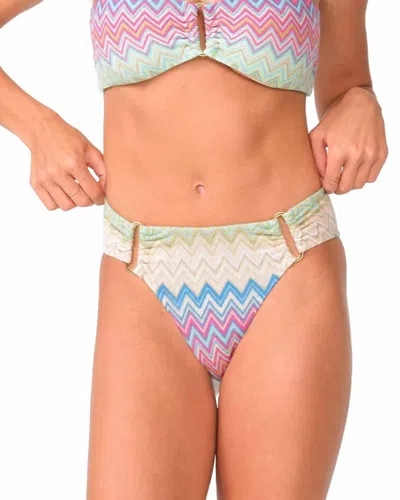 Pq Swim Detailed Fanned Bikini Bottom In Huntington In Multi