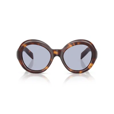 Prada Havana Pr D08su Round Acetate Sunglasses In Brown