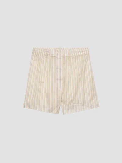 Prada Striped Boxer Shorts In Neutral