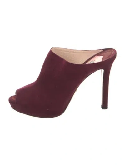 Pre-owned Prada 2012 Calzature Donna Camoscio 1 Mules In Burgundy