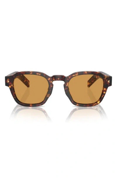 Prada 49mm Round Phantos Sunglasses In Tortoise
