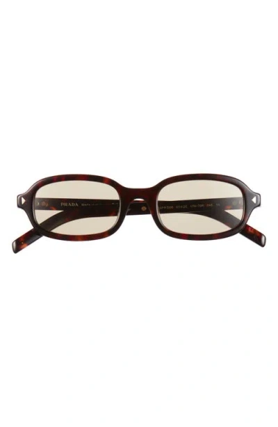 Prada 50mm Small Oval Sunglasses In Brown