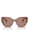 Prada 50mm Small Rectangular Sunglasses In Lite Brown