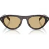 Prada 51mm Irregular Sunglasses In Brown