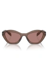 Prada 52mm Butterfly Sunglasses In Light Brown