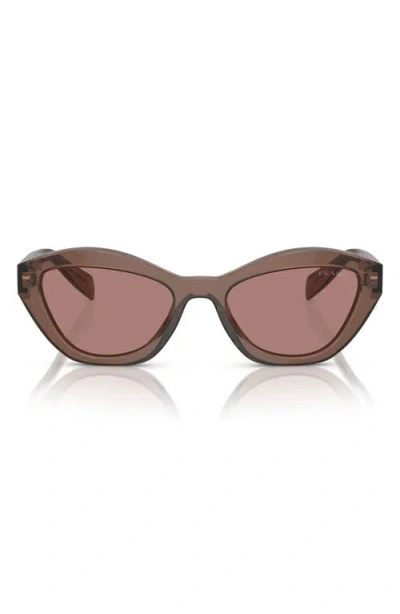 Prada 52mm Butterfly Sunglasses In Light Brown