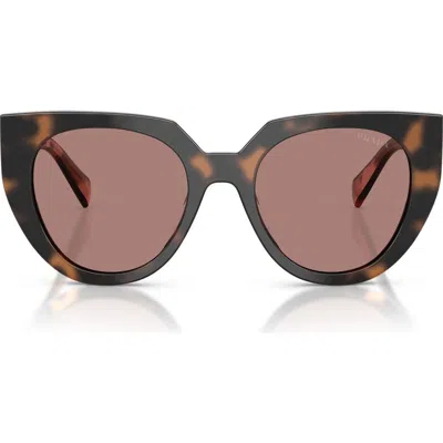 Prada 52mm Cat Eye Sunglasses In Brown