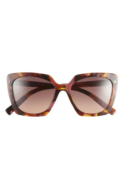 Prada 52mm Square Sunglasses In Begonia Cognac