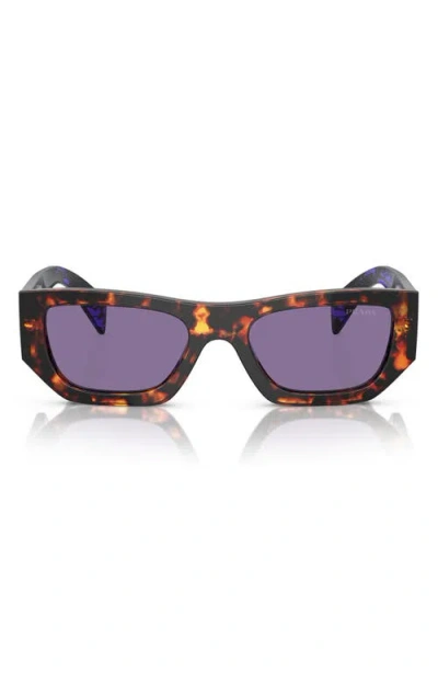 Prada Eyewear Sunglasses In Havana