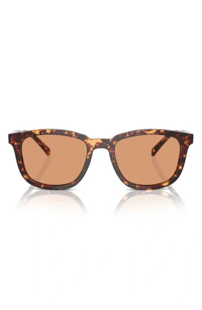 Prada 53mm Pillow Sunglasses In Havana/ Orange