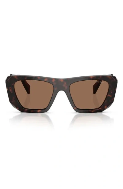 Prada 53mm Square Sunglasses In Brown