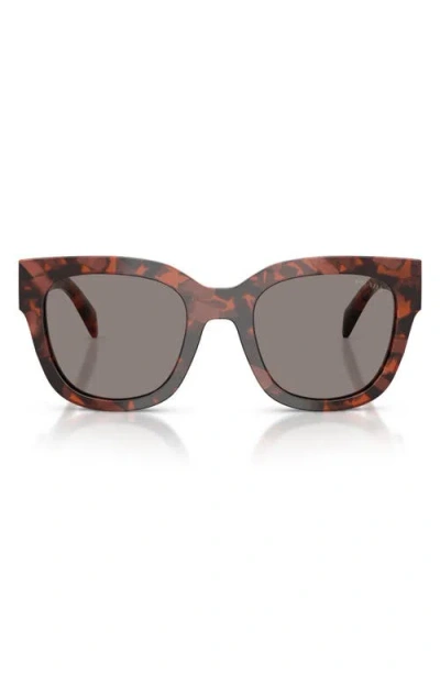 Prada 53mm Square Sunglasses In Brown