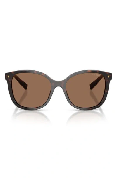 Prada 53mm Square Sunglasses In Brown
