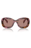 Prada 54mm Oval Polarized Sunglasses In Cognac Begonia/ Light Brown