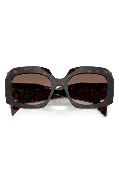 Prada 54mm Square Sunglasses In Brown