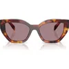 Prada 55mm Butterfly Sunglasses In Brown Tortoise