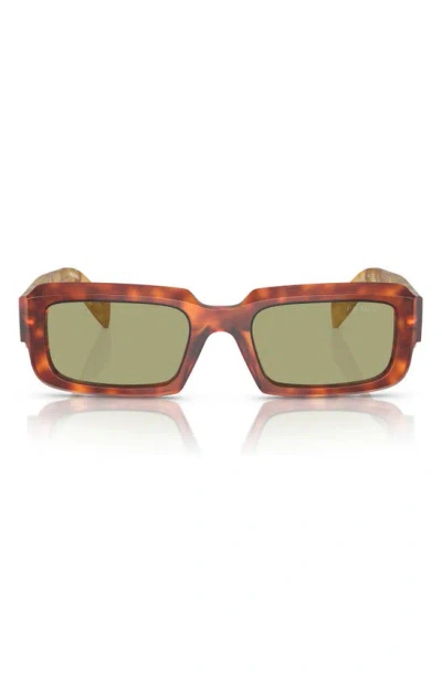 Prada 55mm Cat Eye Sunglasses In Cognac Tortoise