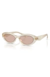 Prada 55mm Irregular Sunglasses In Brown White