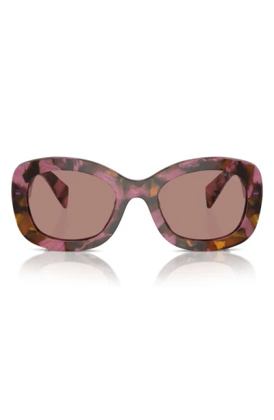 Prada 55mm Oval Sunglasses In Pink/ Brown Havana