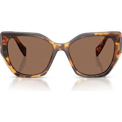 Prada 55mm Pillow Sunglasses In Brown