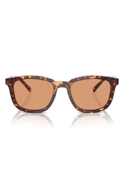 Prada 55mm Pillow Sunglasses In Tortoise/orange Solid