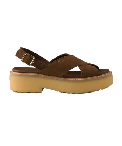 Prada 60mm Buckle-strap Platform Sandals In Brown