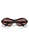 Prada 61mm Oval Sunglasses In Lite Brown