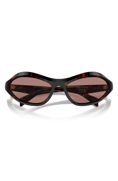 Prada 61mm Oval Sunglasses In Lite Brown