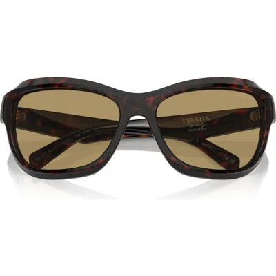 Prada 62mm Oversize Butterfly Sunglasses In Olive