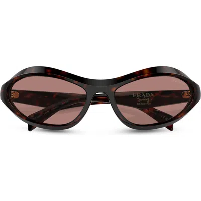 Prada 63mm Oversize Oval Sunglasses In Lite Brown