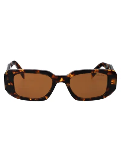 Prada Acetate Honey Tortoise Sunglasses