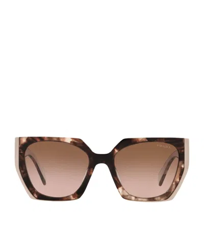 Prada Acetate Pr 15ws Sunglasses In Brown