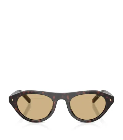 Prada Acetate Pr B15s Sunglasses In Brown