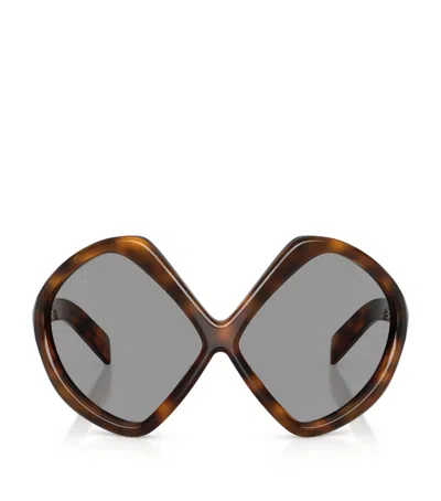 Prada Acetate Pr B21s Sunglasses In Brown