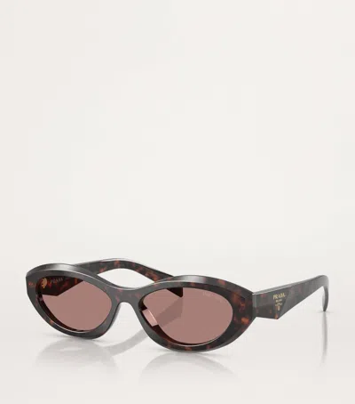 Prada Acetate Pr26zs Sunglasses In Black