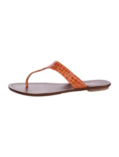 Pre-owned Prada Alligator Animal Print Flip Flops In Orange