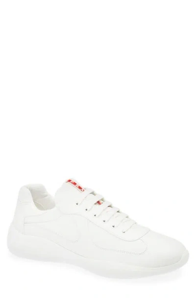 Prada America's Cup Sneaker In Animal Print