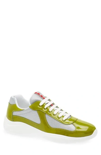 Prada America's Cup Sneaker In Multi