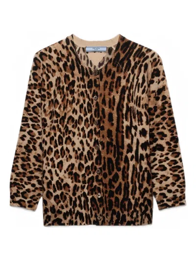 Prada Animal-print Button-up Cardigan In Animal Print