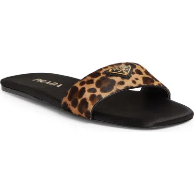 Prada Animal Print Genuine Calf Hair Slide Sandal In Miele Calf Hair Print