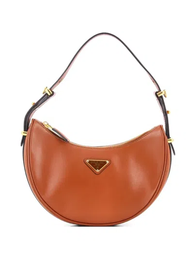 Pre-owned Prada Arque Half Moon Leather Small Hobo Bag In Brown
