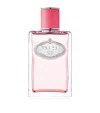 Prada Beauty Infusion De Rhubarbe Eau De Parfum