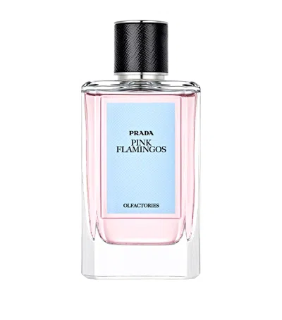Prada Beauty Olfactory Pink Flamingo In White