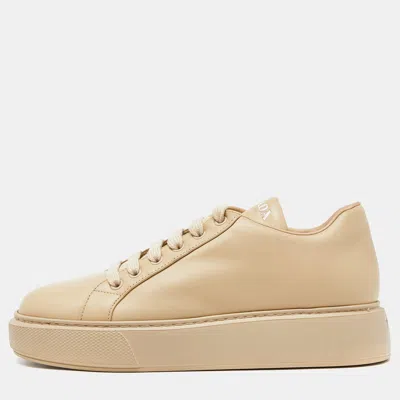 Pre-owned Prada Beige Leather Low Top Trainers Size 39