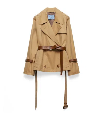 Prada Trench Coat Woman Honey In Beige