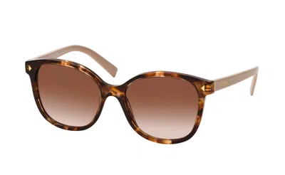 Pre-owned Prada Brand 2024  Women Sunglasses Pr 22zs 07r-0a6 Authentic Italy Frame Case In Brown