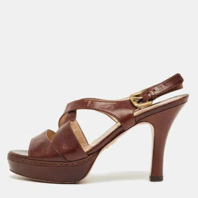 Pre-owned Prada Brown Leather Ankle Strap Sandals Size 36.5
